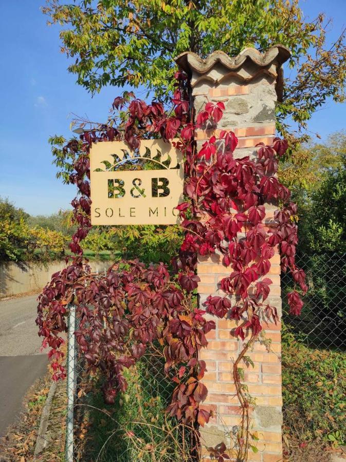 B&B Sole Mio Velletri Exterior photo
